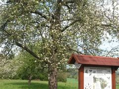 Obst-Info-Weg