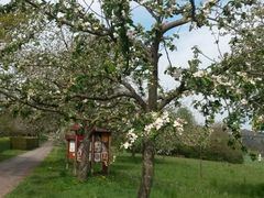 Obst-Info-Weg