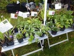 Herbstmarkt 2017